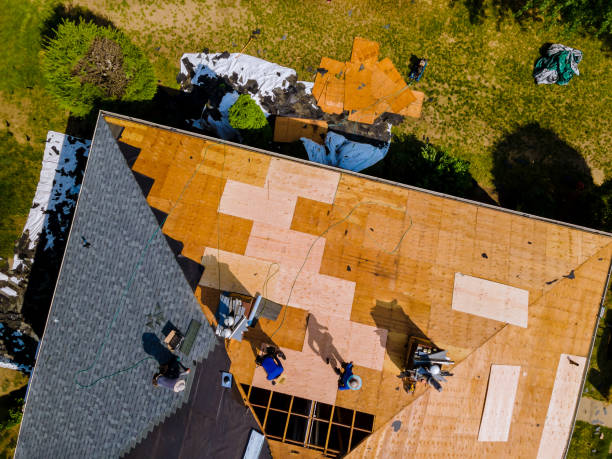 Best Roof Gutter Cleaning  in Loughman, FL