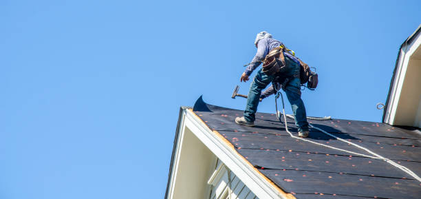 Best Storm Damage Roof Repair  in Loughman, FL
